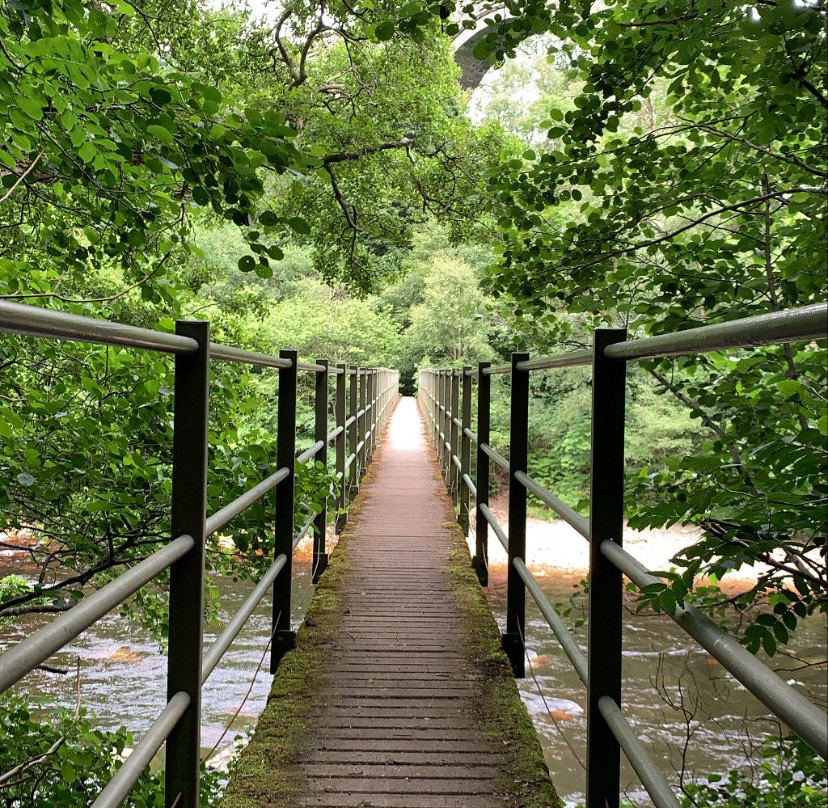 Lambley Viaduct-Lambley必去景点