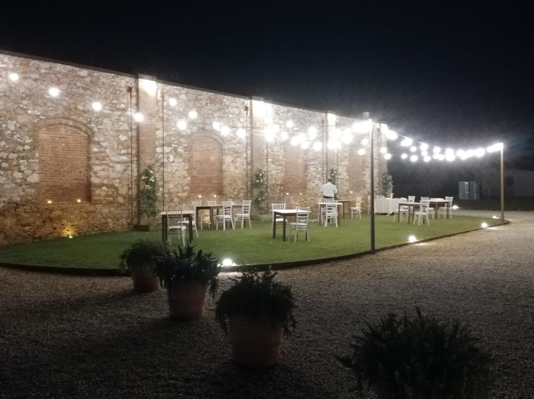 Fattoria L'Olmetto主图