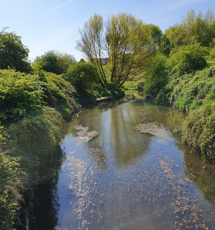 Lime Tree Woods-诺斯利必去景点