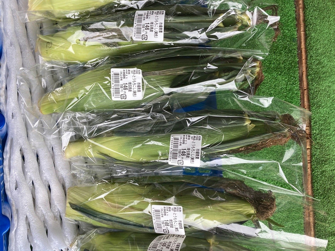 Ageo Agricultural Products Farm Stand-上尾市必去景点