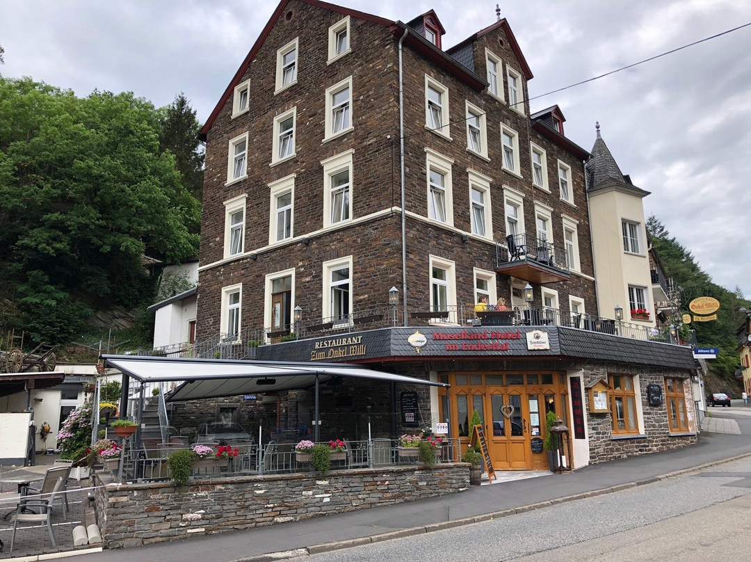 Mosellandhotel im Enderttal主图
