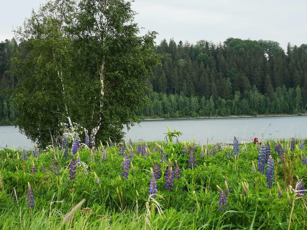 Lubawka酒店住宿-Gościniec Nad Bukówką
