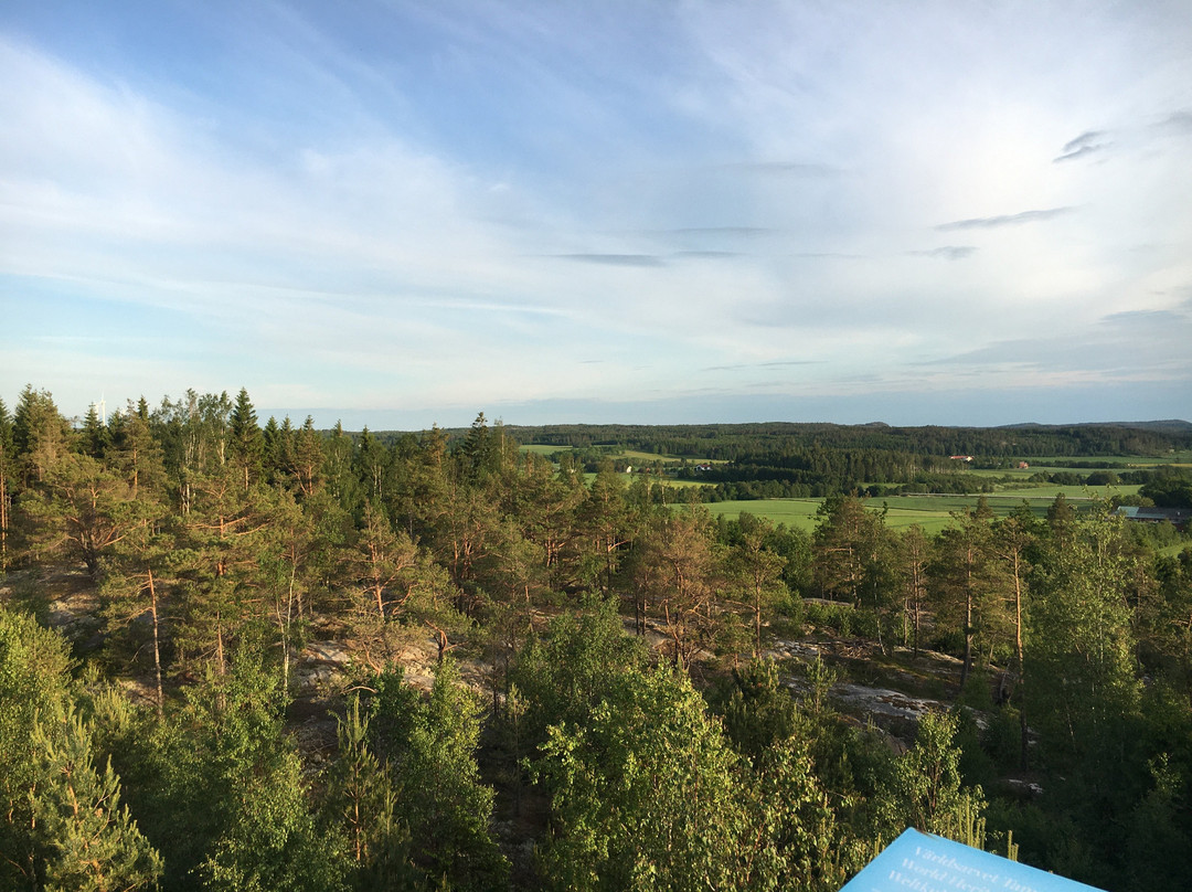 Rastplats Världsarvet Tanum景点图片