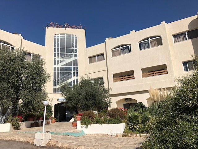 橄榄枝酒店主图