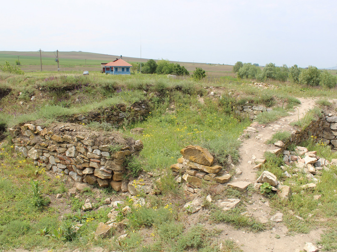 Cetatea Halmyris景点图片