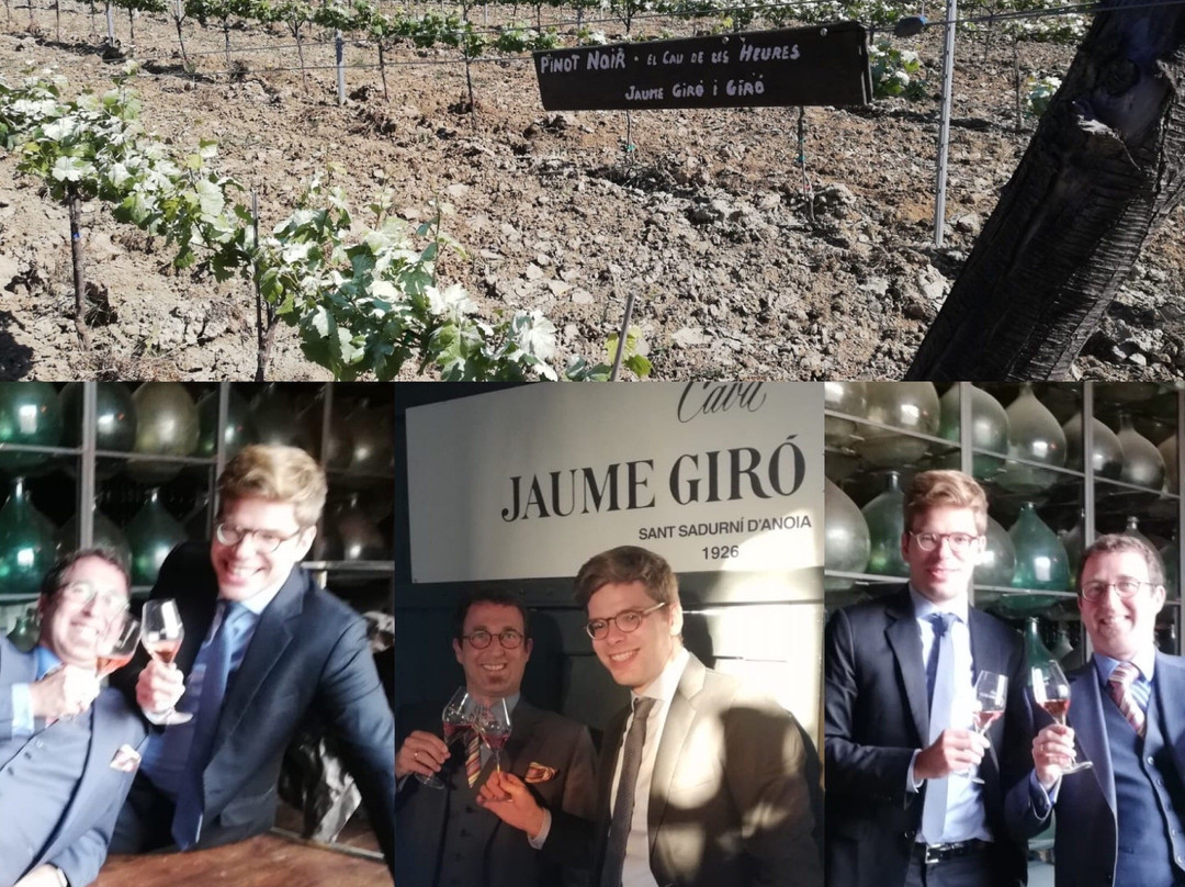 Cava Jaume Giro i Giro景点图片