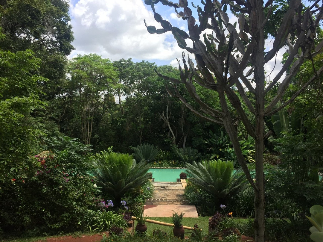 Ngare Sero Mountain Lodge主图