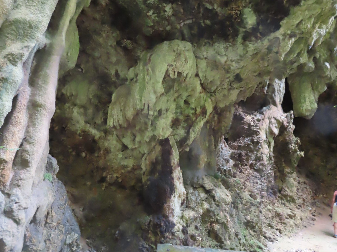 Welchman Hall Gully-Saint Thomas Parish必去景点