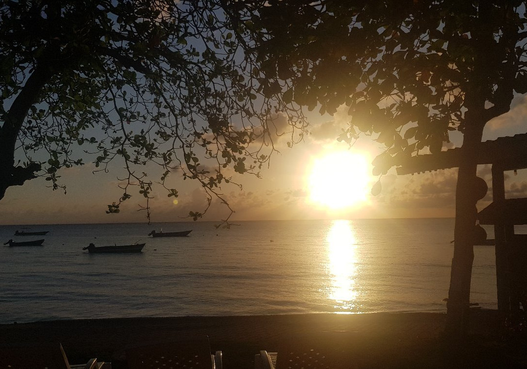 Miss Mary Hotel - Decameron主图