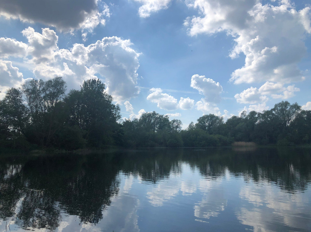 Paxton Pits Nature Reserve景点图片