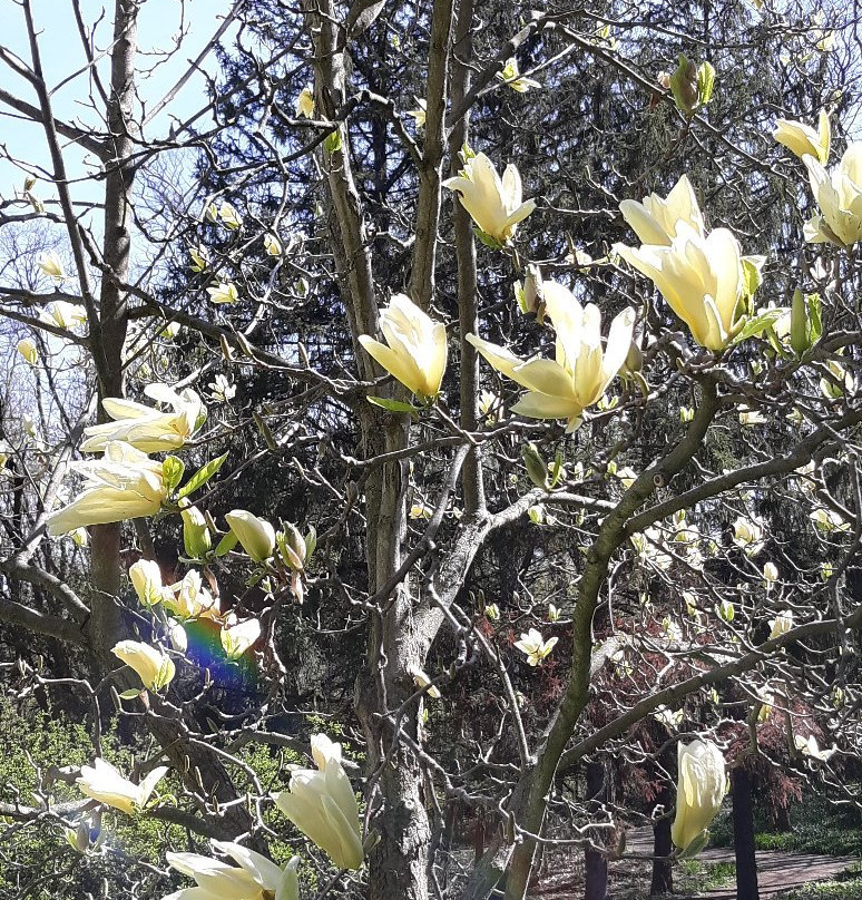 Brincka Cross Gardens-密歇根城必去景点