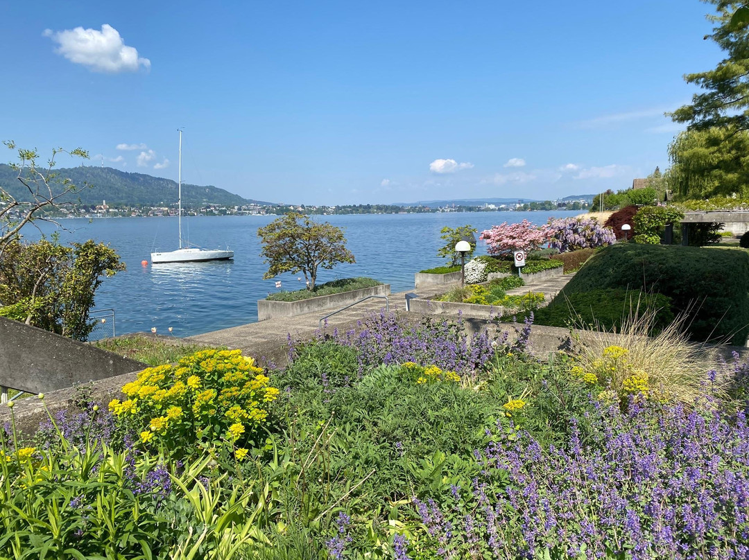 Zollikon旅游攻略图片