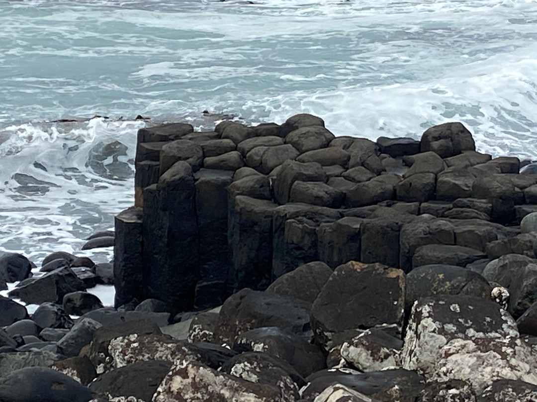 Basalt Columns-Chatham Island (Rekohu)必去景点