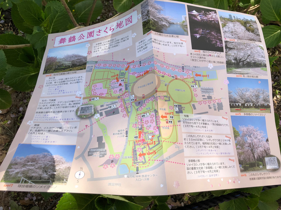 福冈城遗址景点图片