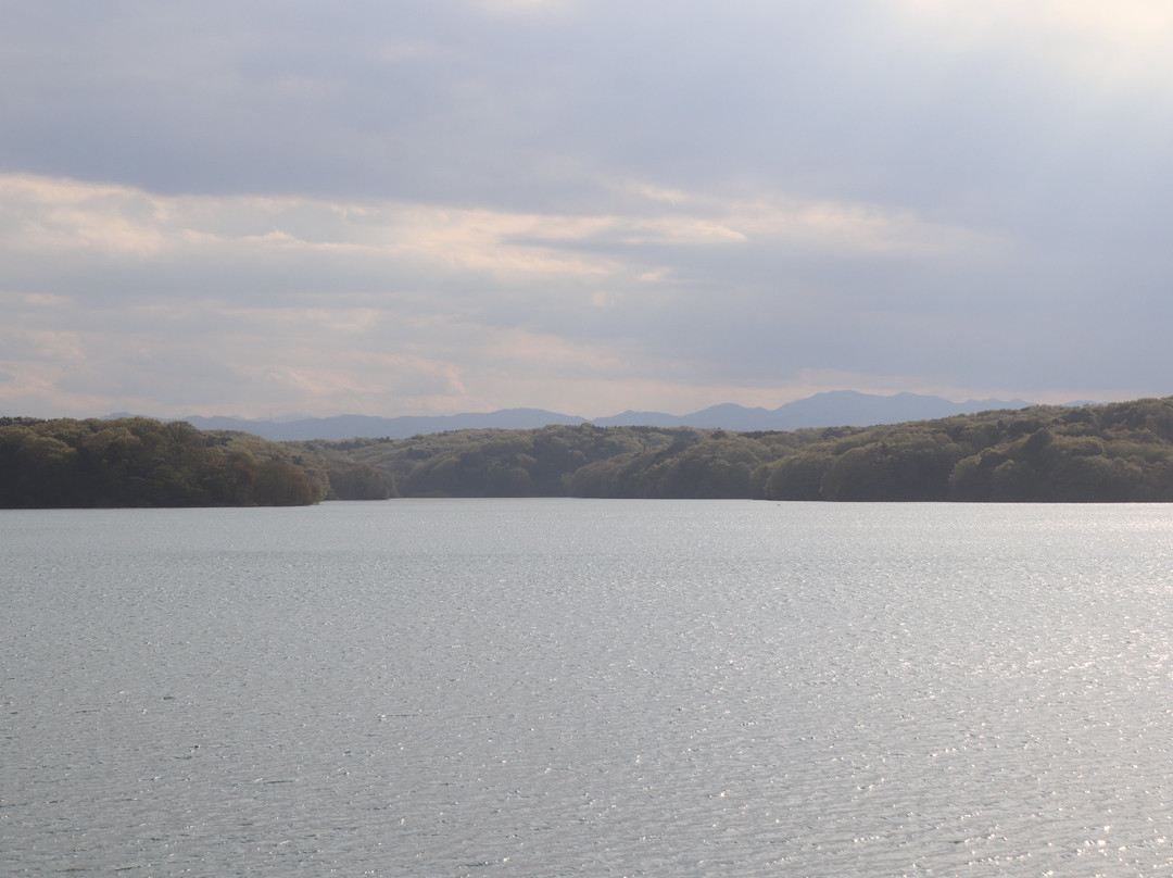 Sayama Prefectural Nature Park景点图片