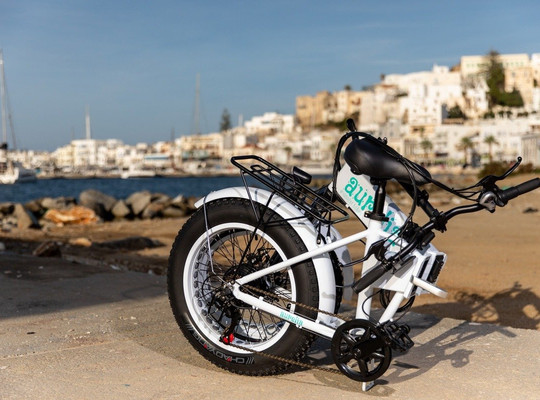 Aurelia e-assist Bikes-纳克索斯必去景点