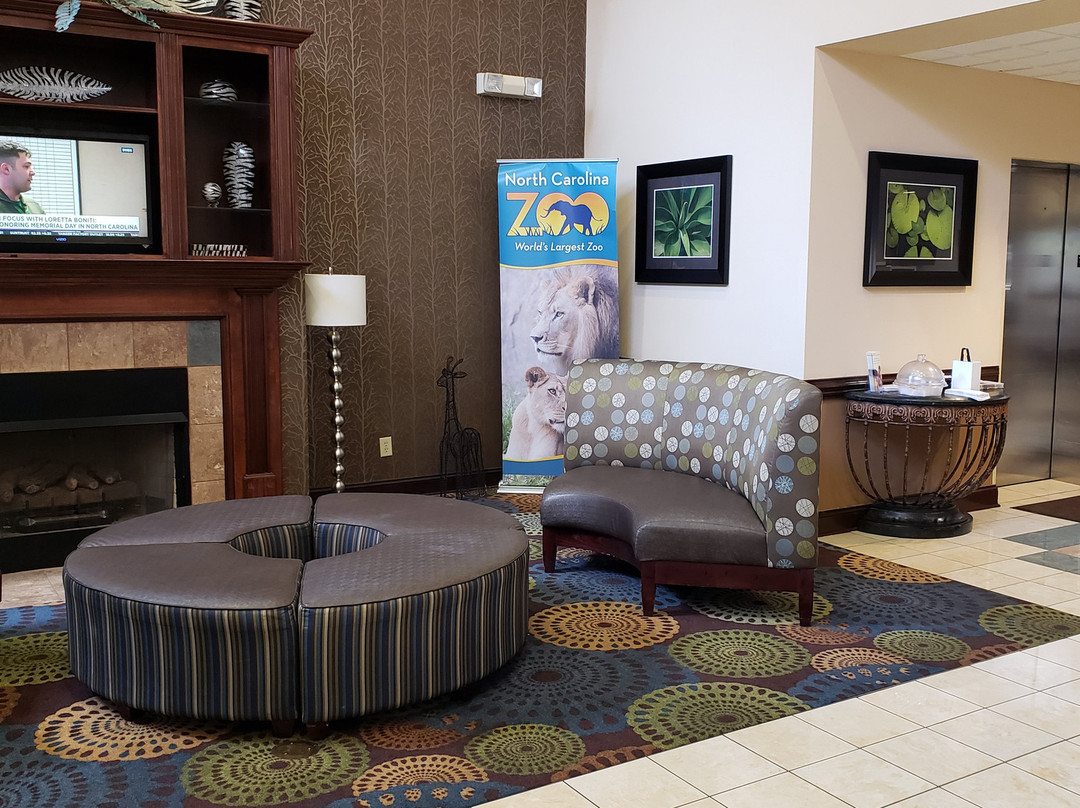 Comfort Inn & Suites主图