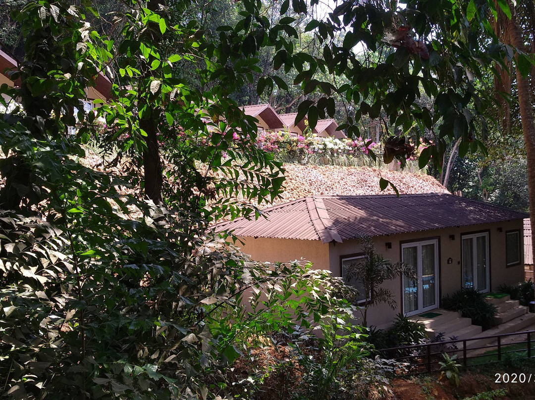 Stone Wood Premier Gokarna主图