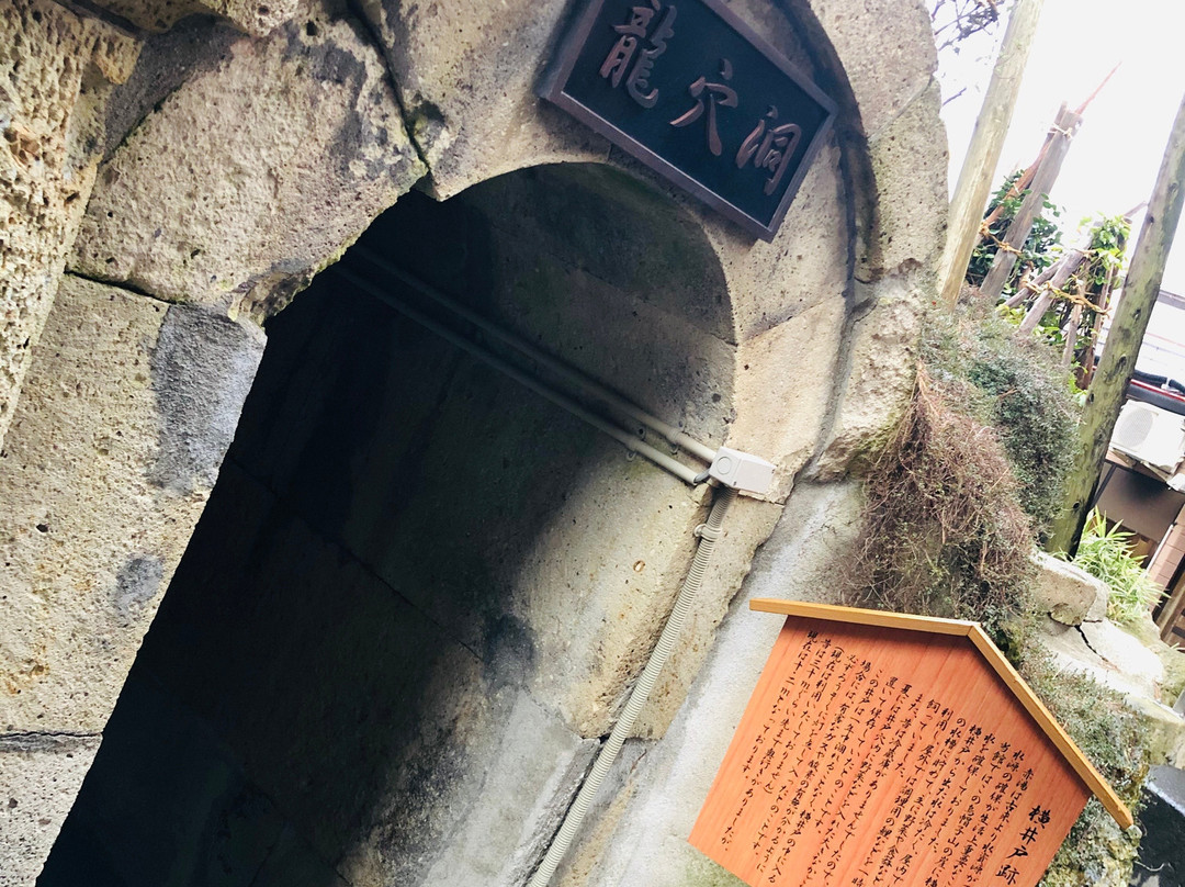 Uesugi Hot Spring Gotenmori主图