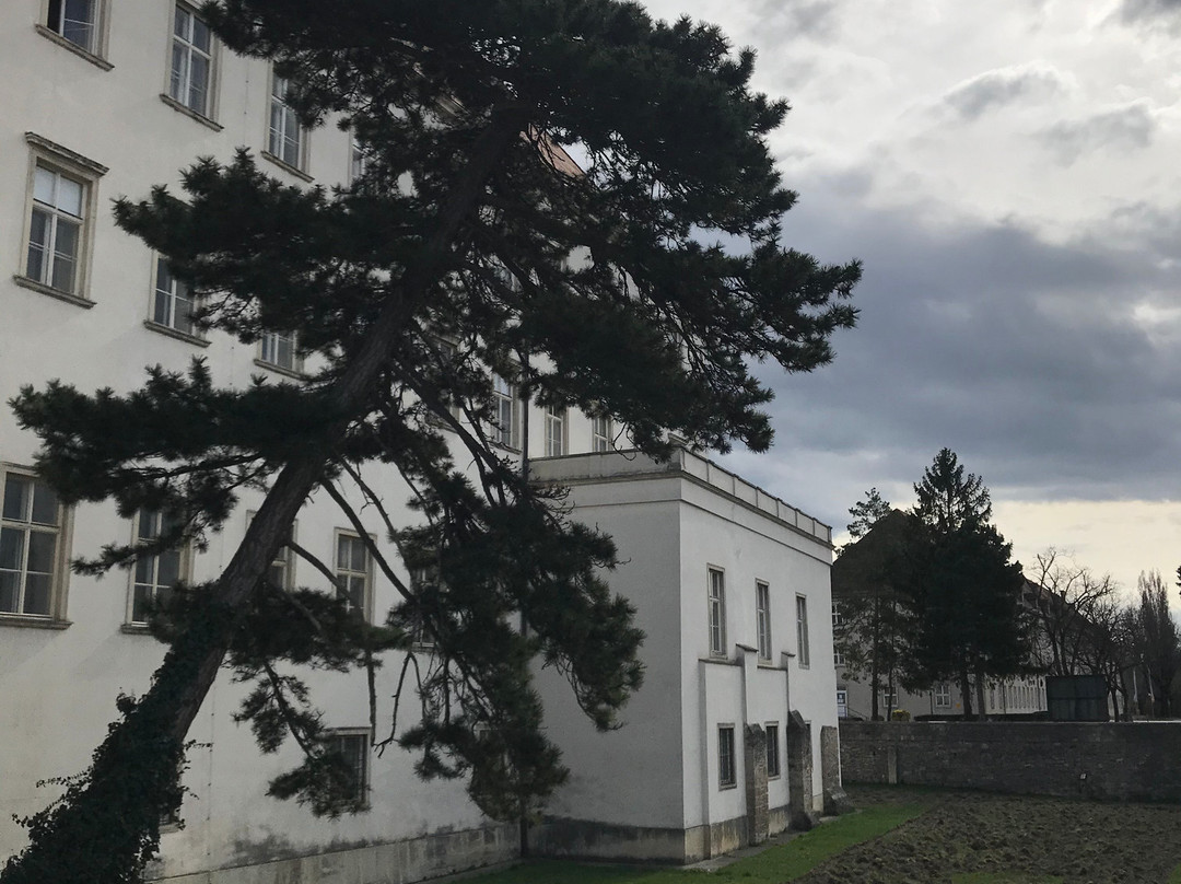 Burg Wiener Neustadt-维也纳新城必去景点