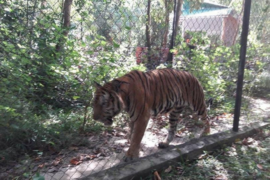 Private Tour Guide Phnom Penh-金边必去景点