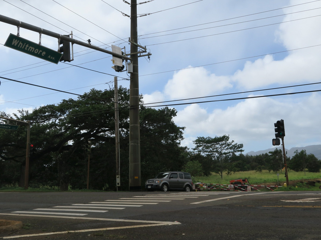 Kukaniloko Birthing Stones-瓦西瓦必去景点