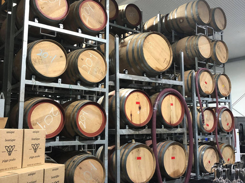 Steadwell Escapes-悉尼必去景点