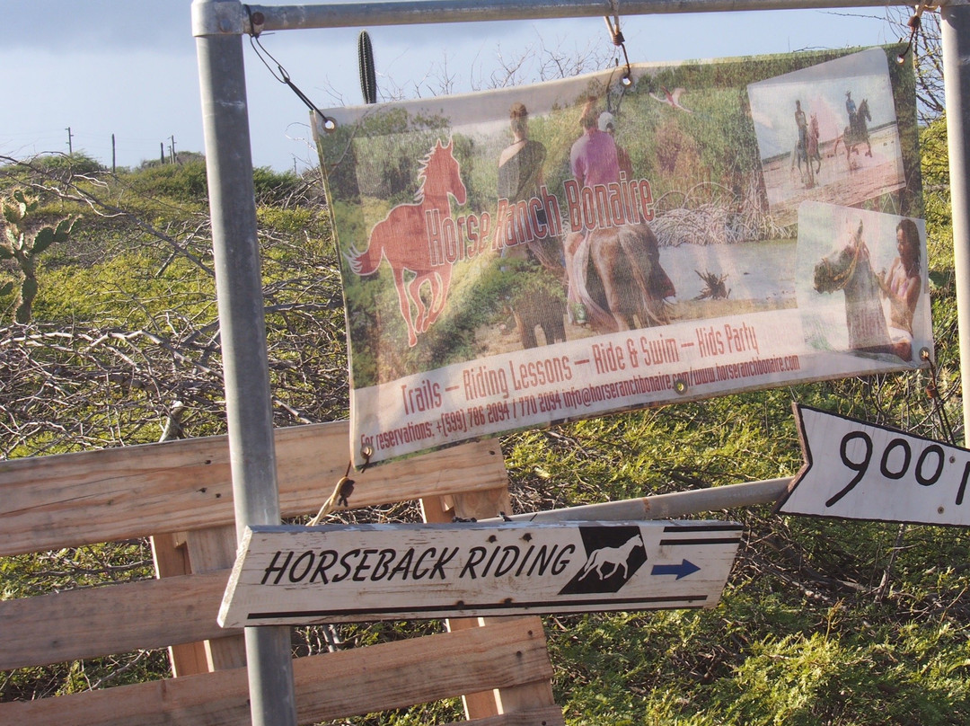 Horse Ranch Bonaire-Kralendijk必去景点
