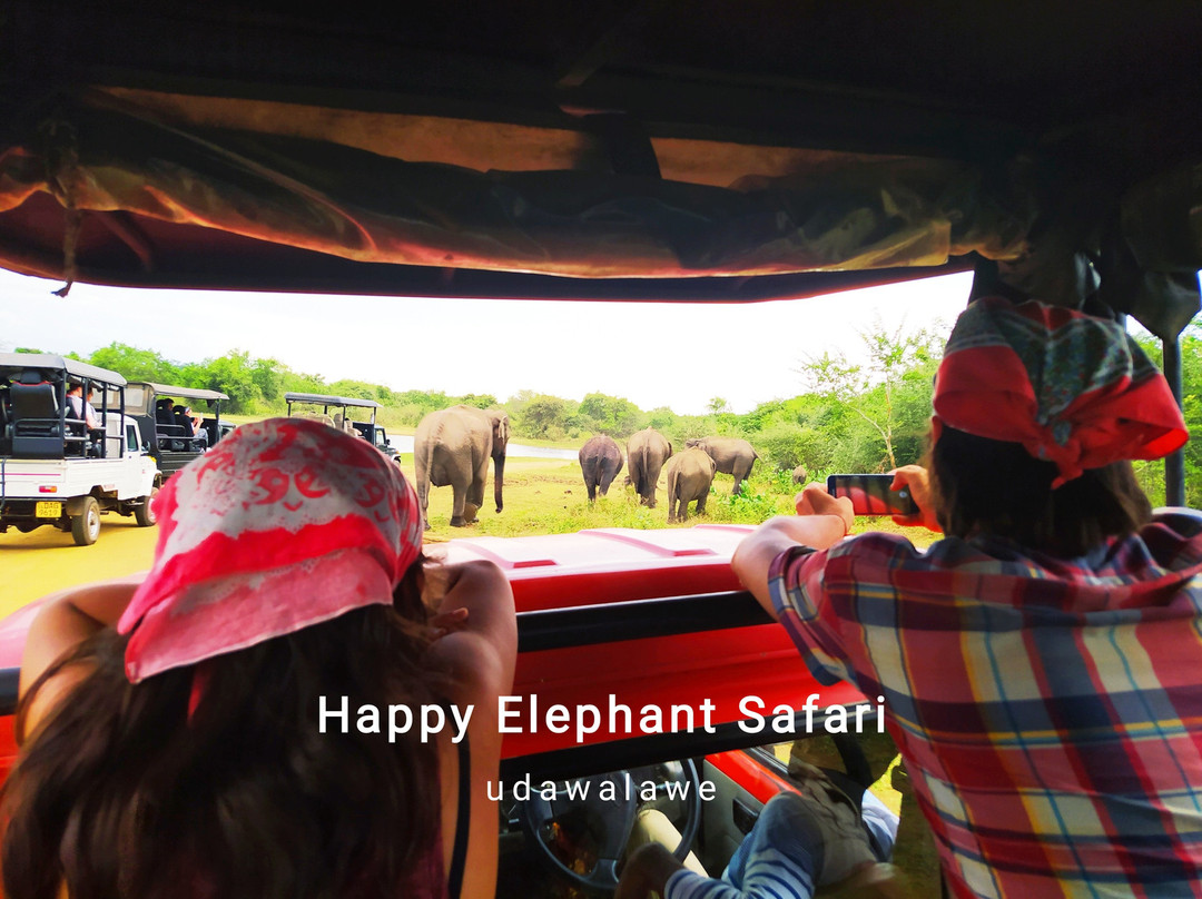 Happy Elephant Safari Udawalawe-乌达瓦拉瓦必去景点