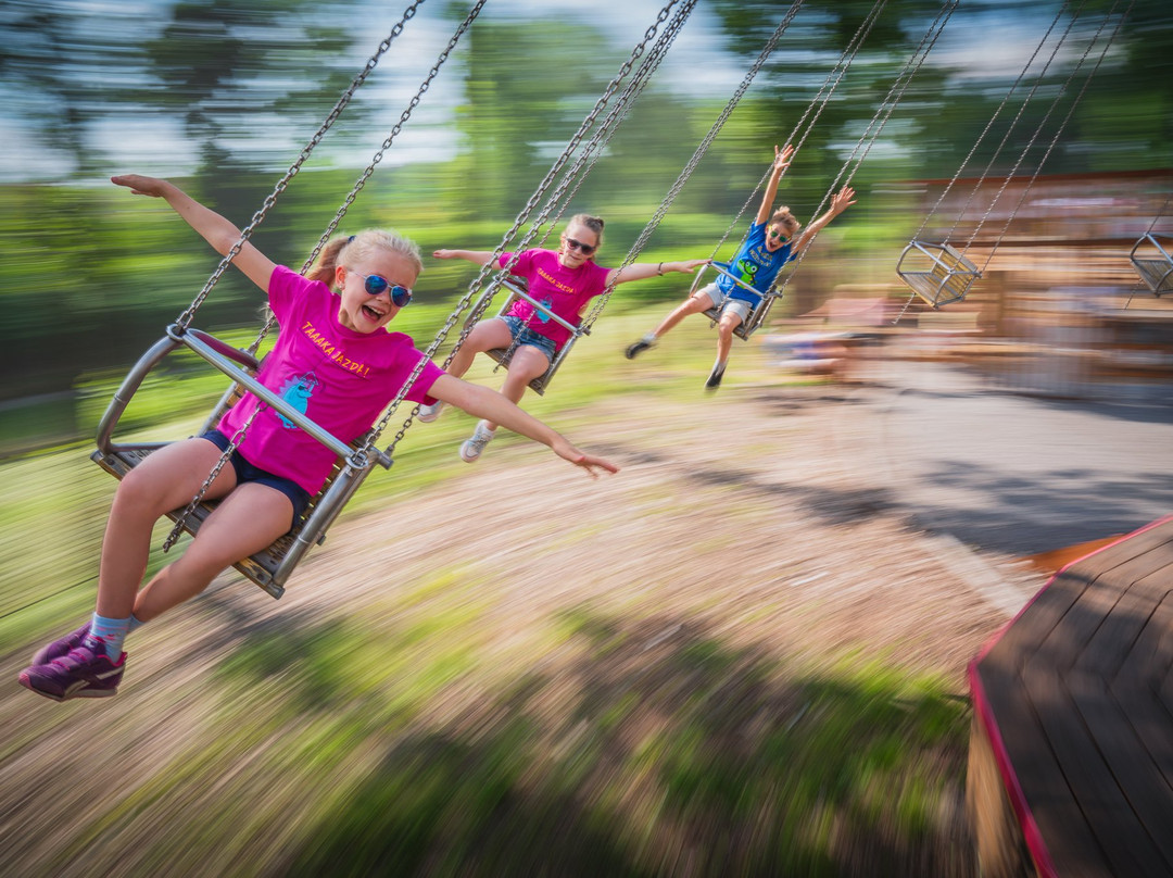 Park W DECHE-别尔斯克-比亚瓦必去景点