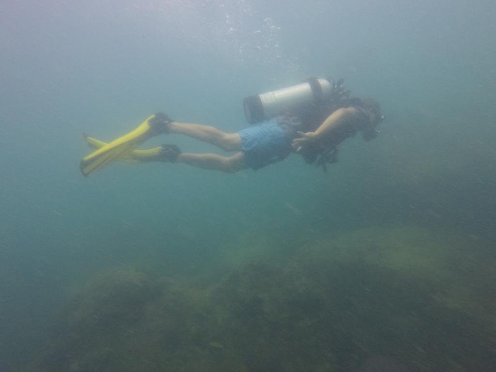 Paradise Diving & Watersports-高龙撒冷岛必去景点