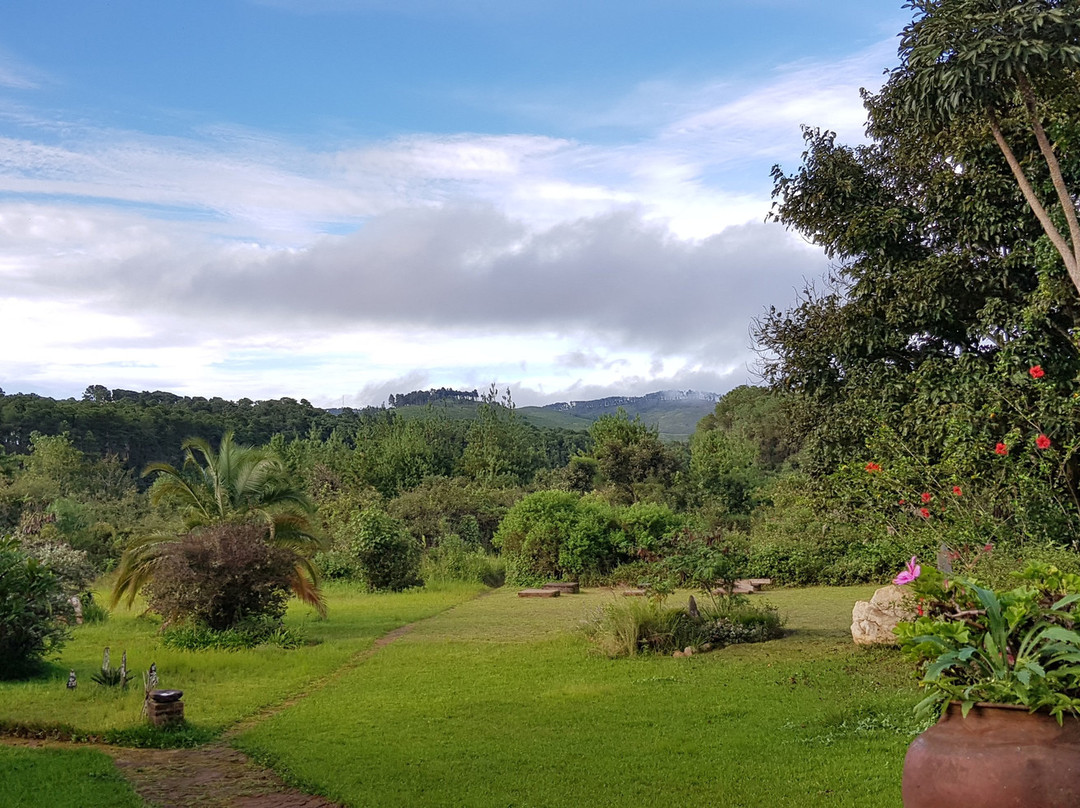 Mzimba旅游攻略图片