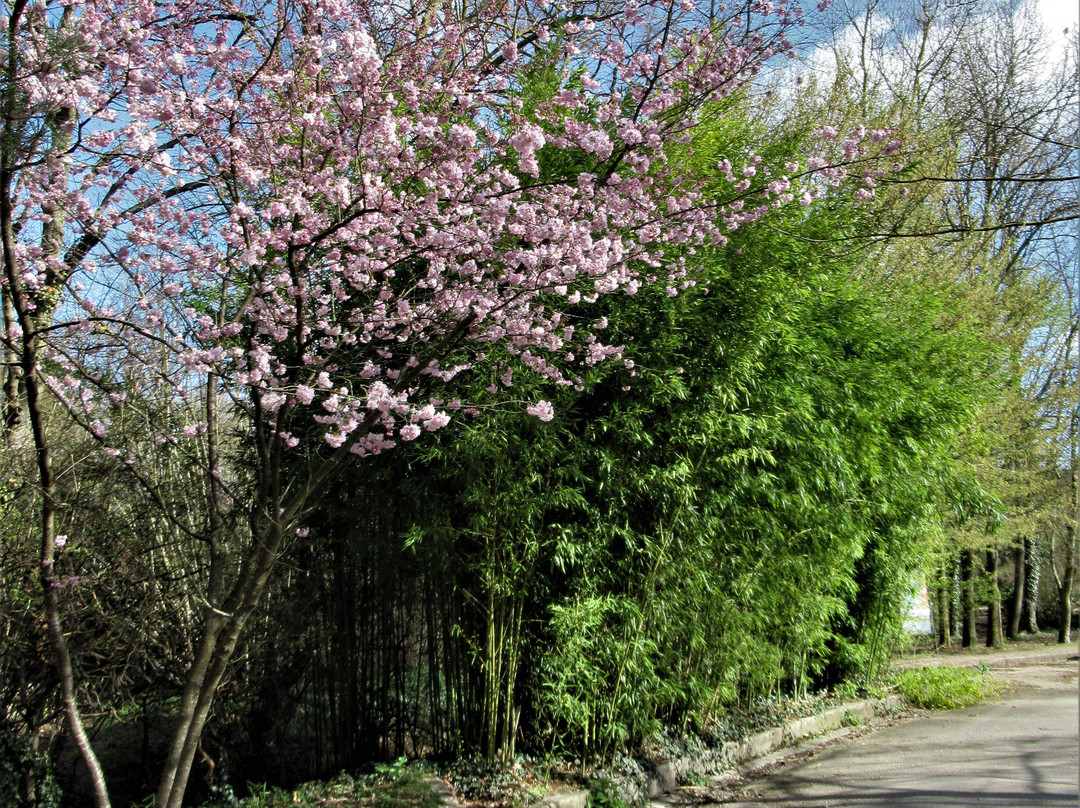 Parc Forestier de la Poudrerie景点图片