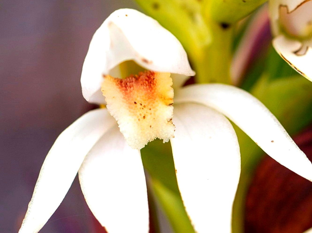 Les Chutes de la Madeleine-Yate必去景点