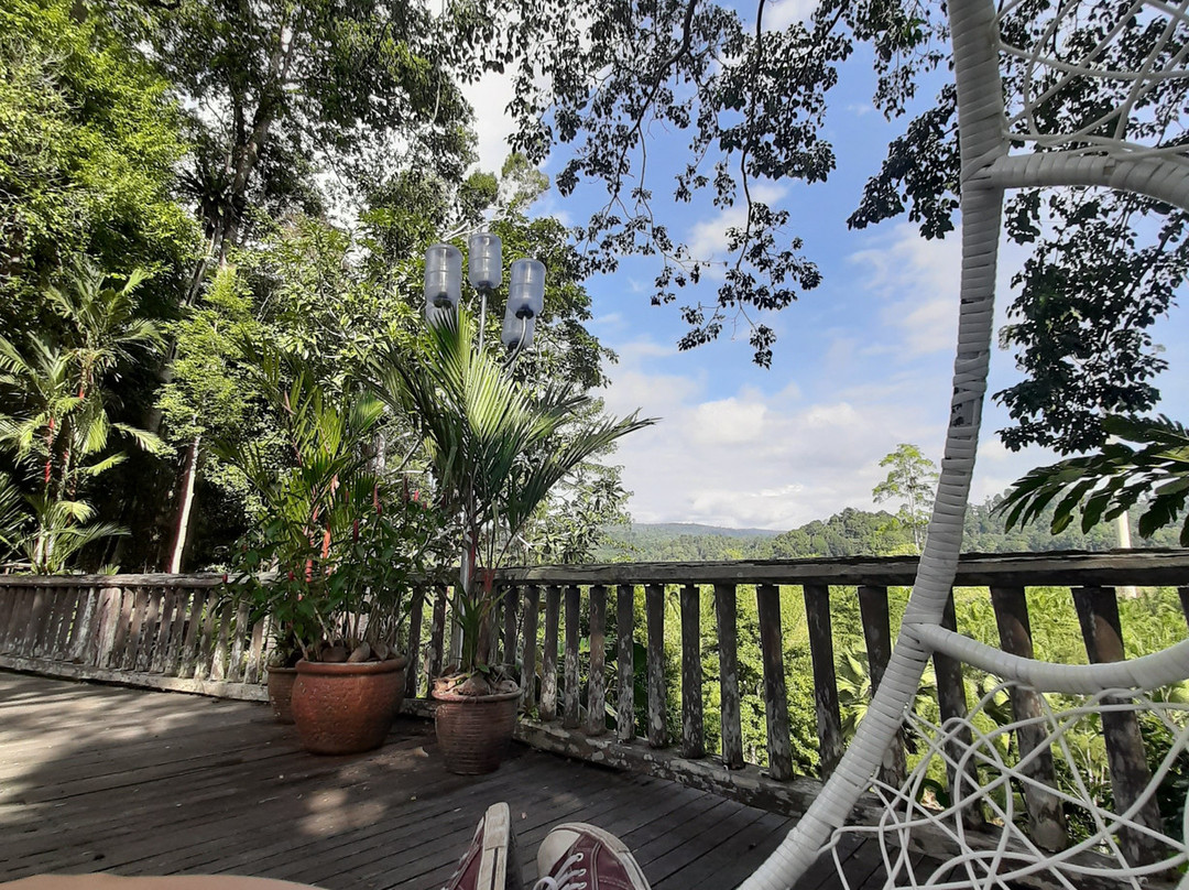 Balung River Eco Resort主图