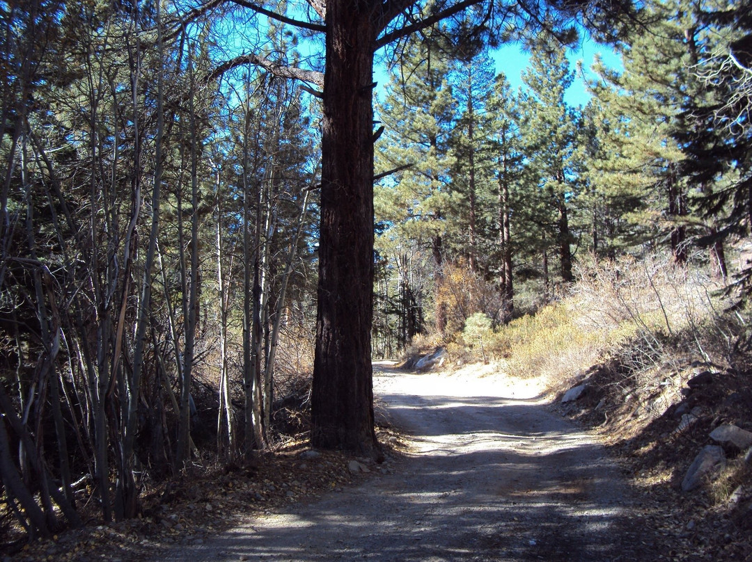 Lundy Lake-利韦宁必去景点