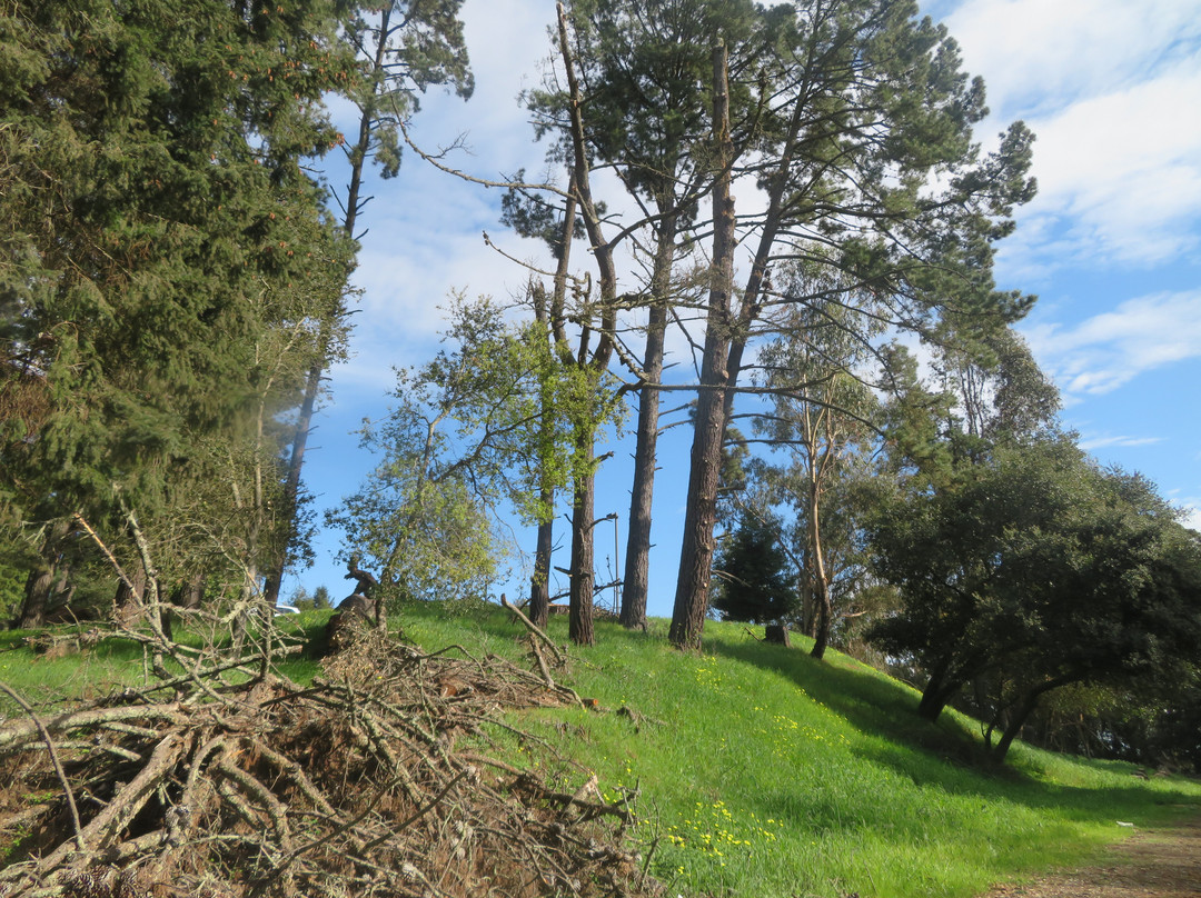 Joaquin Miller Park景点图片