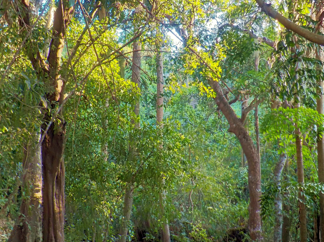 Yin Yoga Therapy Training-Morjim必去景点