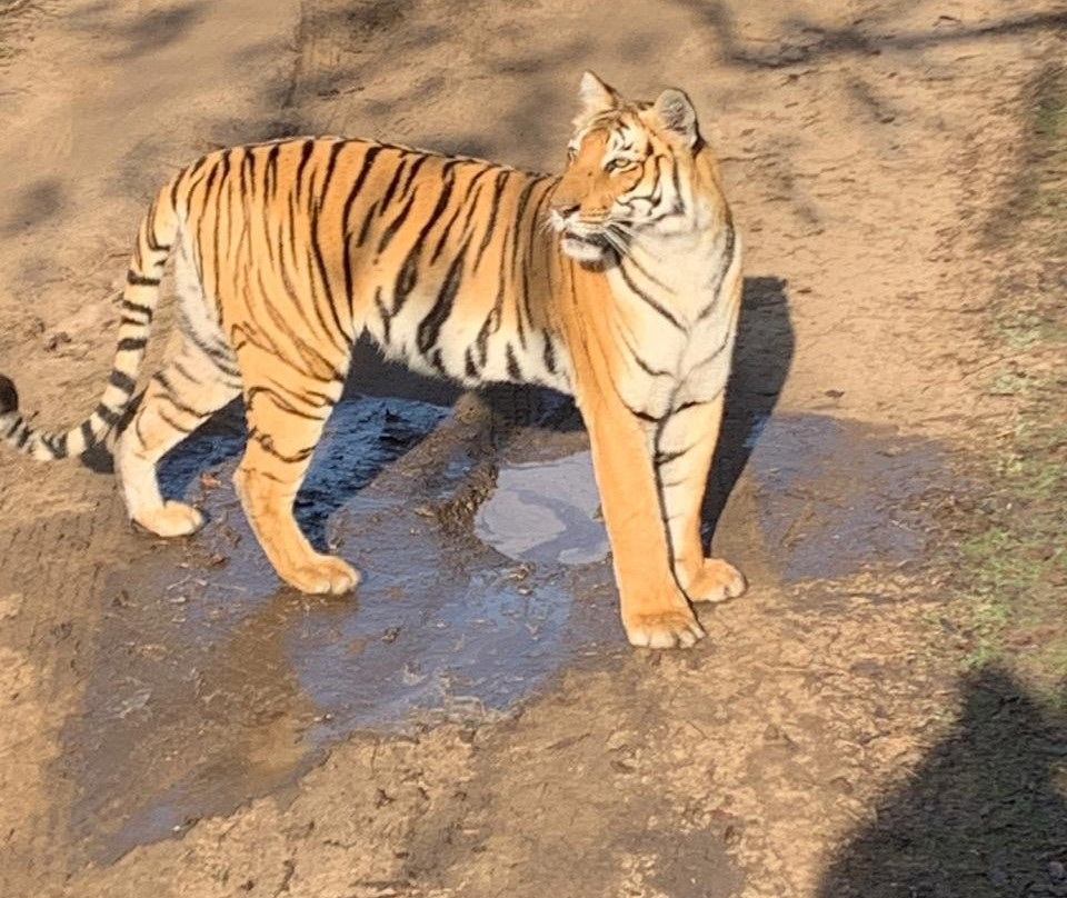 Corbett Package Tour-Dhikuli必去景点