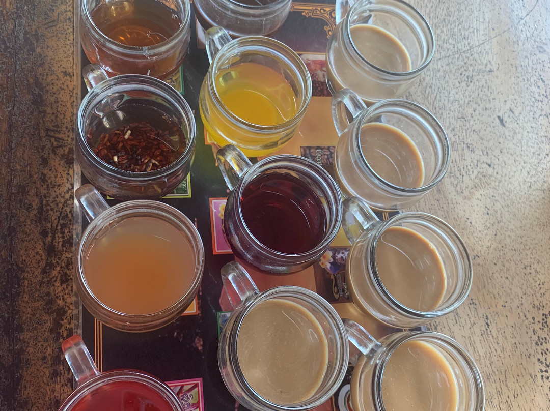 Kowi Bali Tour-登巴萨必去景点