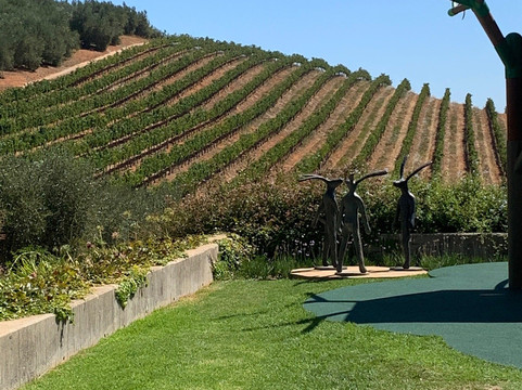 La Rochelle Wine Tours-法兰舒克必去景点