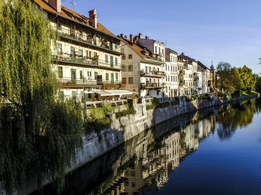 Day Trips Slovenia-卢布尔雅那必去景点