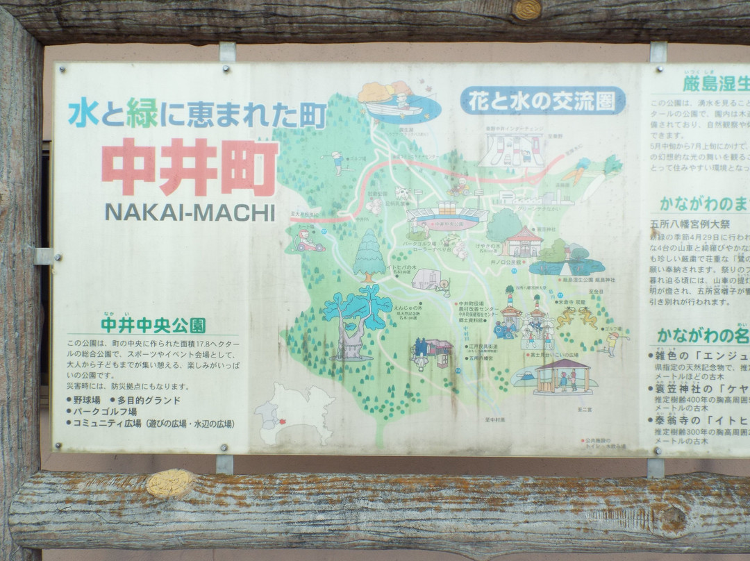 Chuo Undo Park-秦野市必去景点