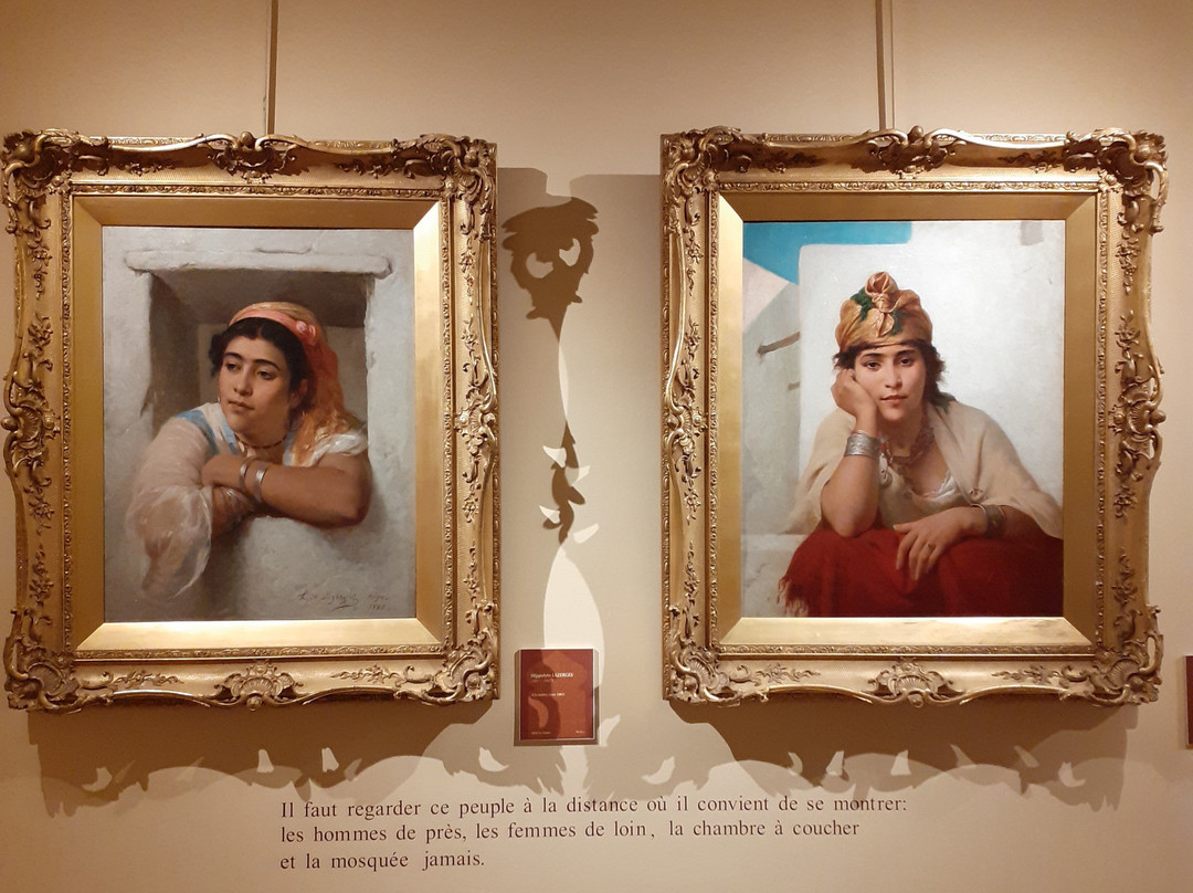 Musee d'Art et d'Histoire景点图片
