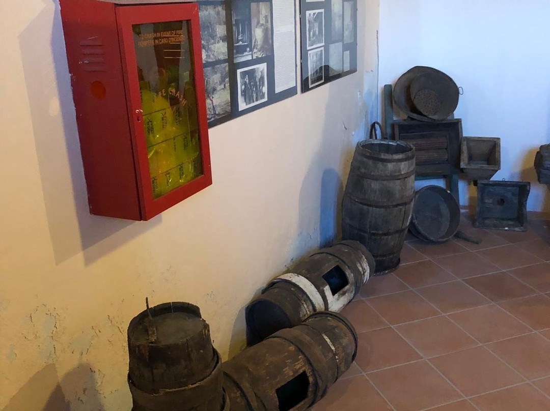 Museo di Storia dell'Agricoltura e della Pastorizia景点图片