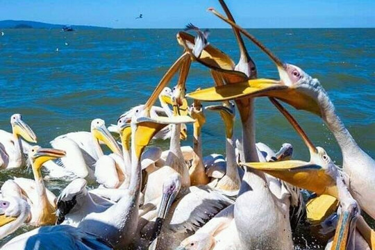 Abreham Tour and Travel-巴哈尔达尔必去景点