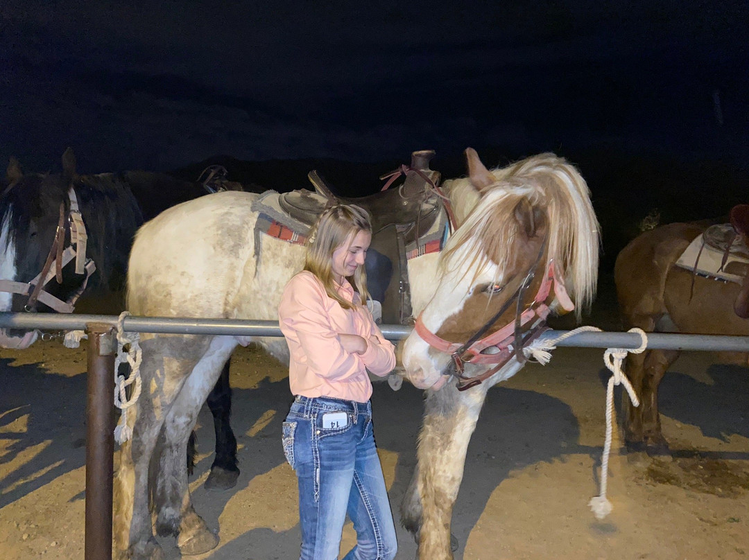 Arizona Horses (Ponderosa Stables and South Mountain Stables)景点图片