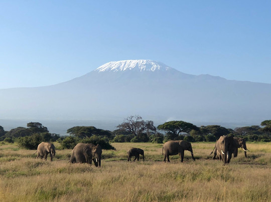 Bush Company-马林地必去景点