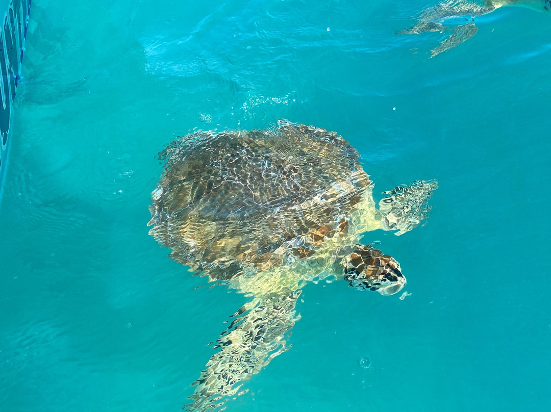 Hooper's Bay Beach-大埃克苏马必去景点