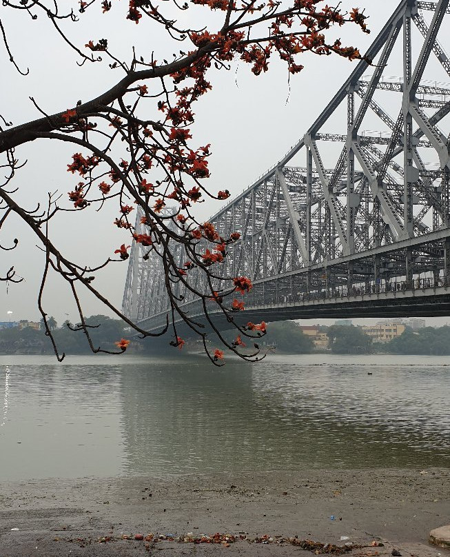Kolkata Food Walk景点图片